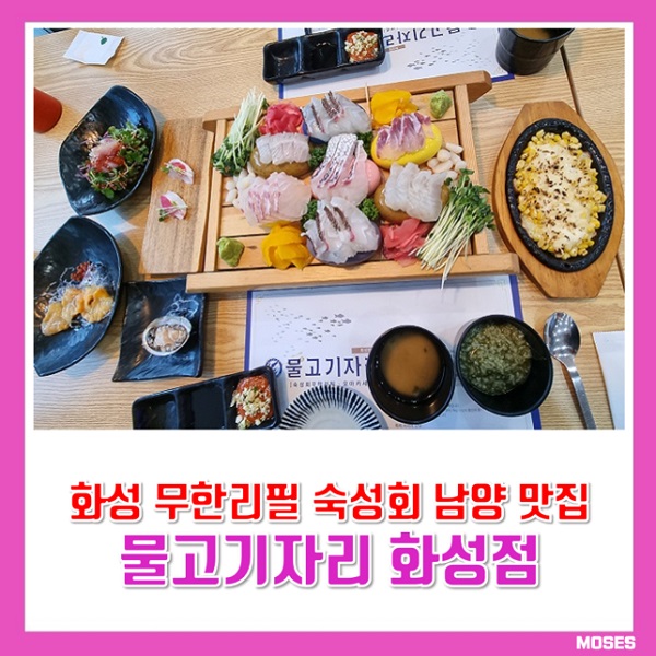 물고기 완벽 가이드 2026 - 종류부터 요리법까지 한번에!
